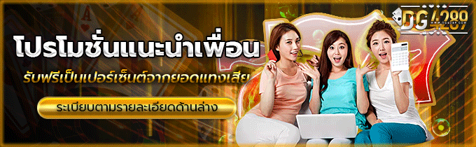 DG4289 โปรโมชั่น